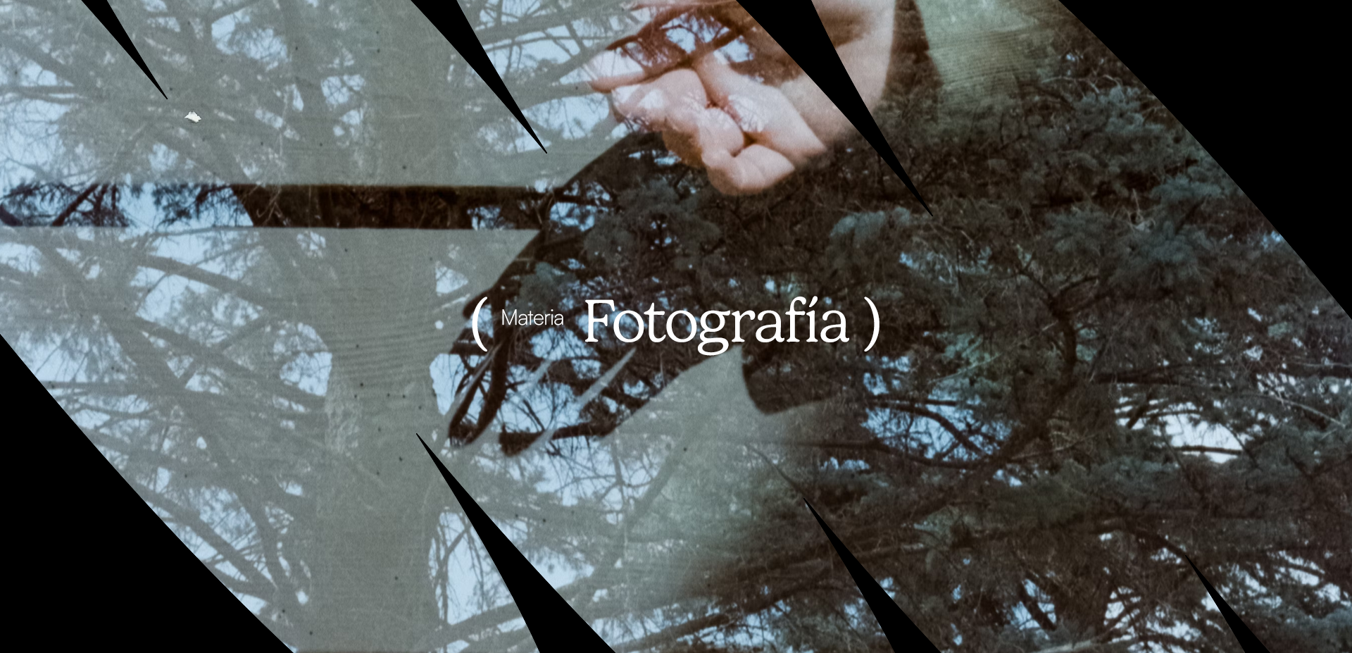 ( Fotografía )