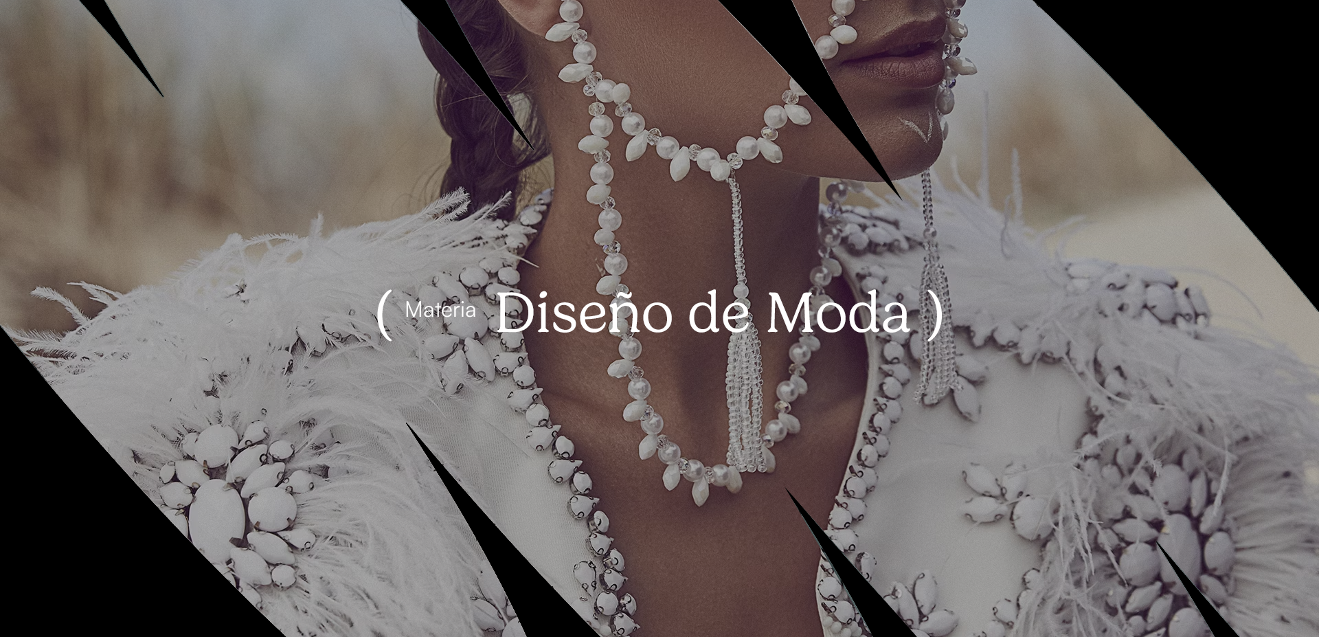 ( Diseño de Moda )