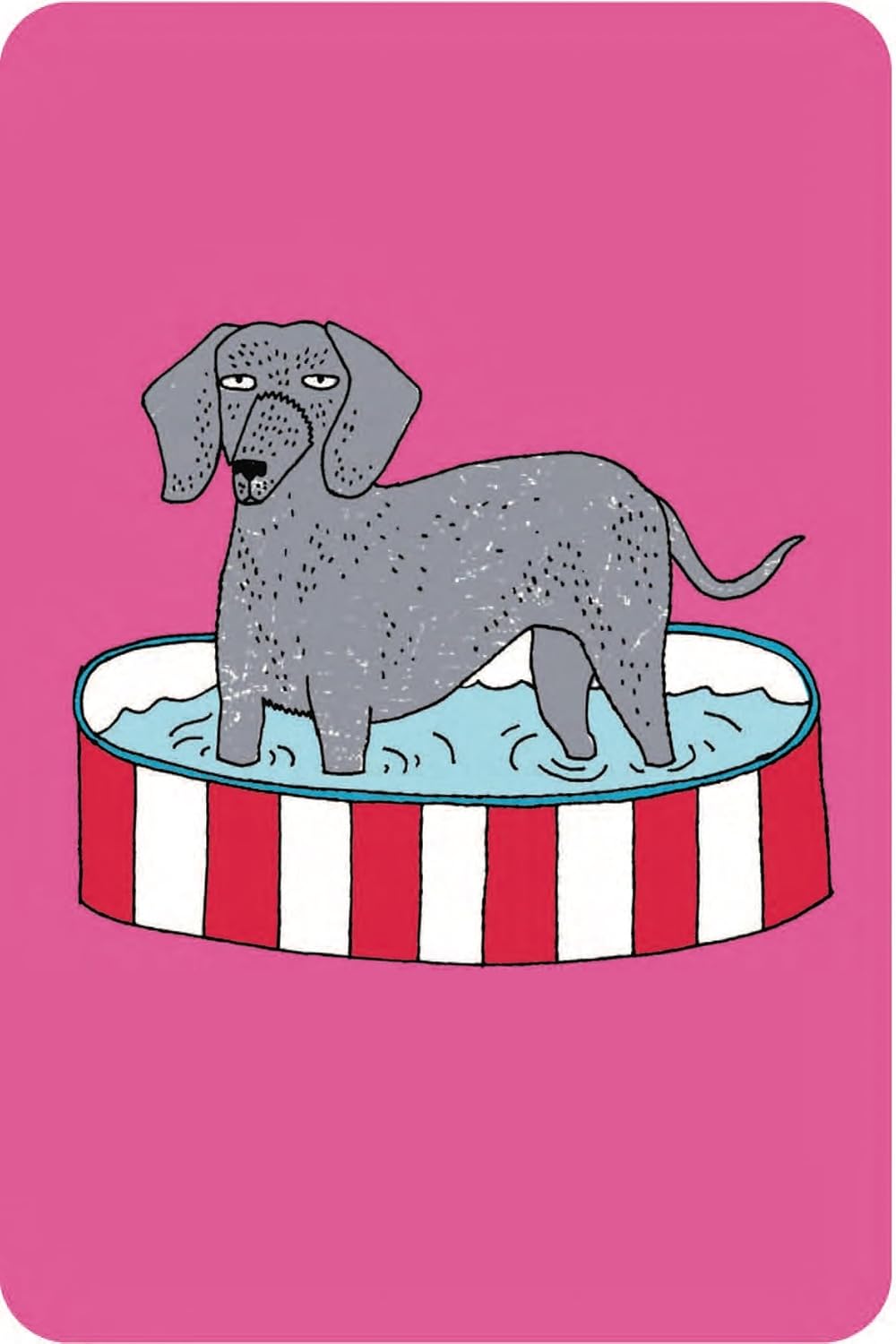 School For Dogs (and their Humans): Fifty cards with tips and tricks for dogs and their owners
