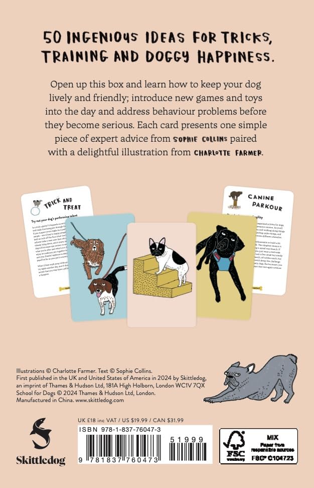 School For Dogs (and their Humans): Fifty cards with tips and tricks for dogs and their owners