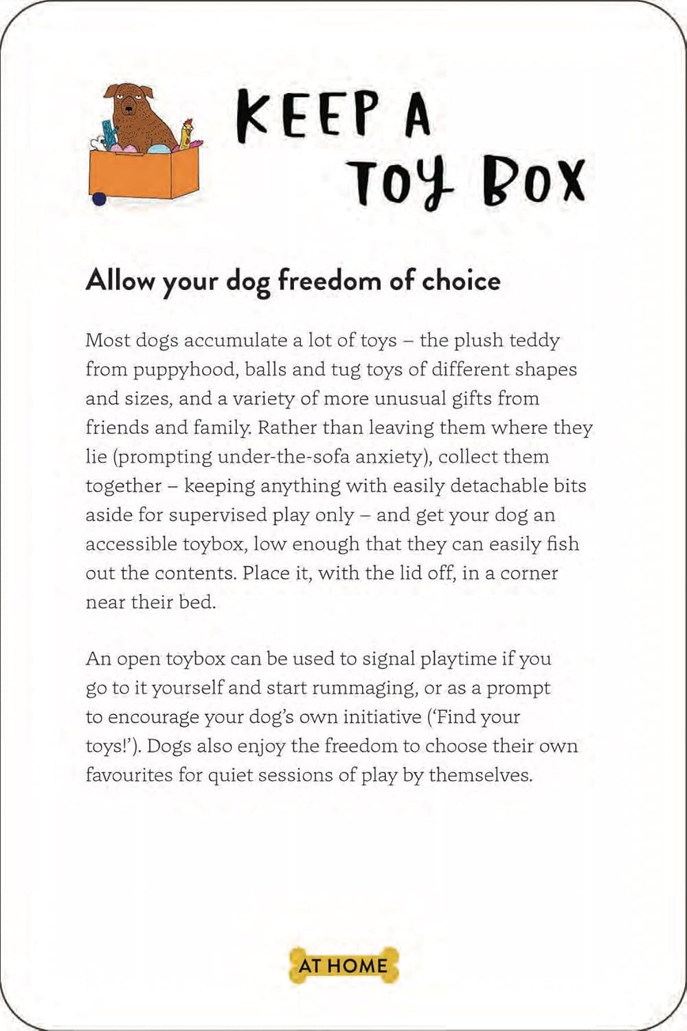 School For Dogs (and their Humans): Fifty cards with tips and tricks for dogs and their owners