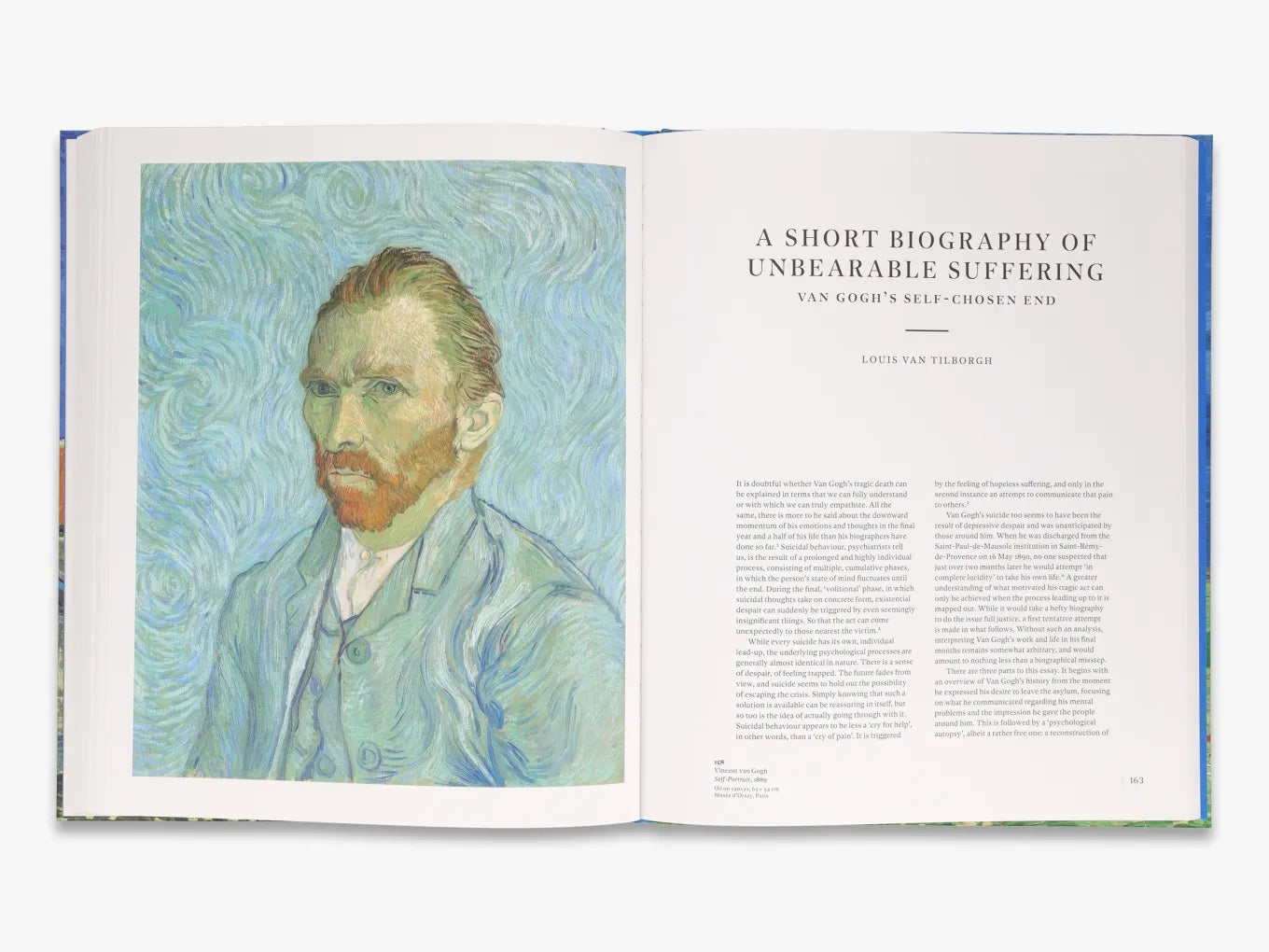 Van Gogh in Auvers-sur-Oise. His Final Months