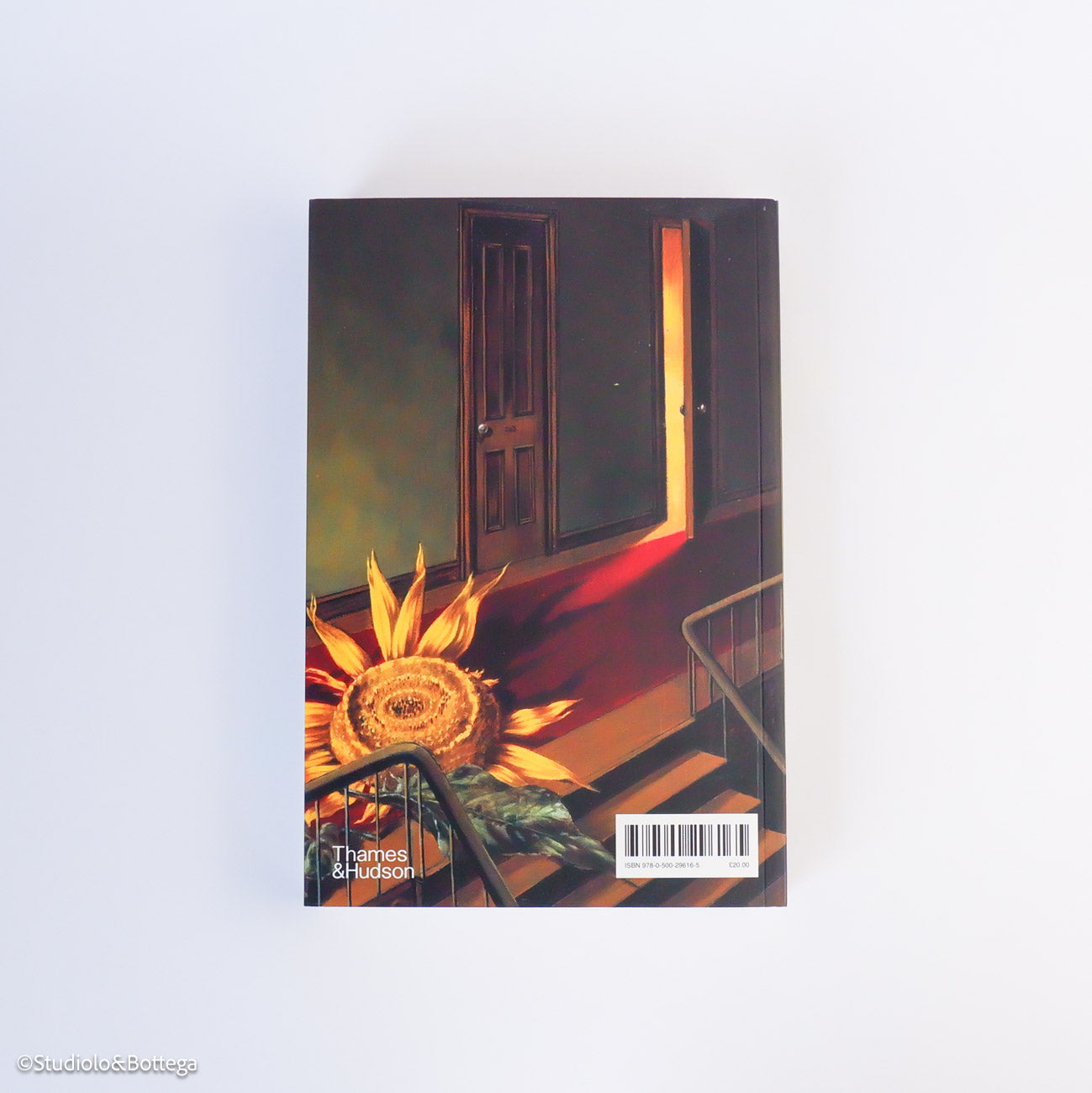 Women Artists and the Surrealist Movement