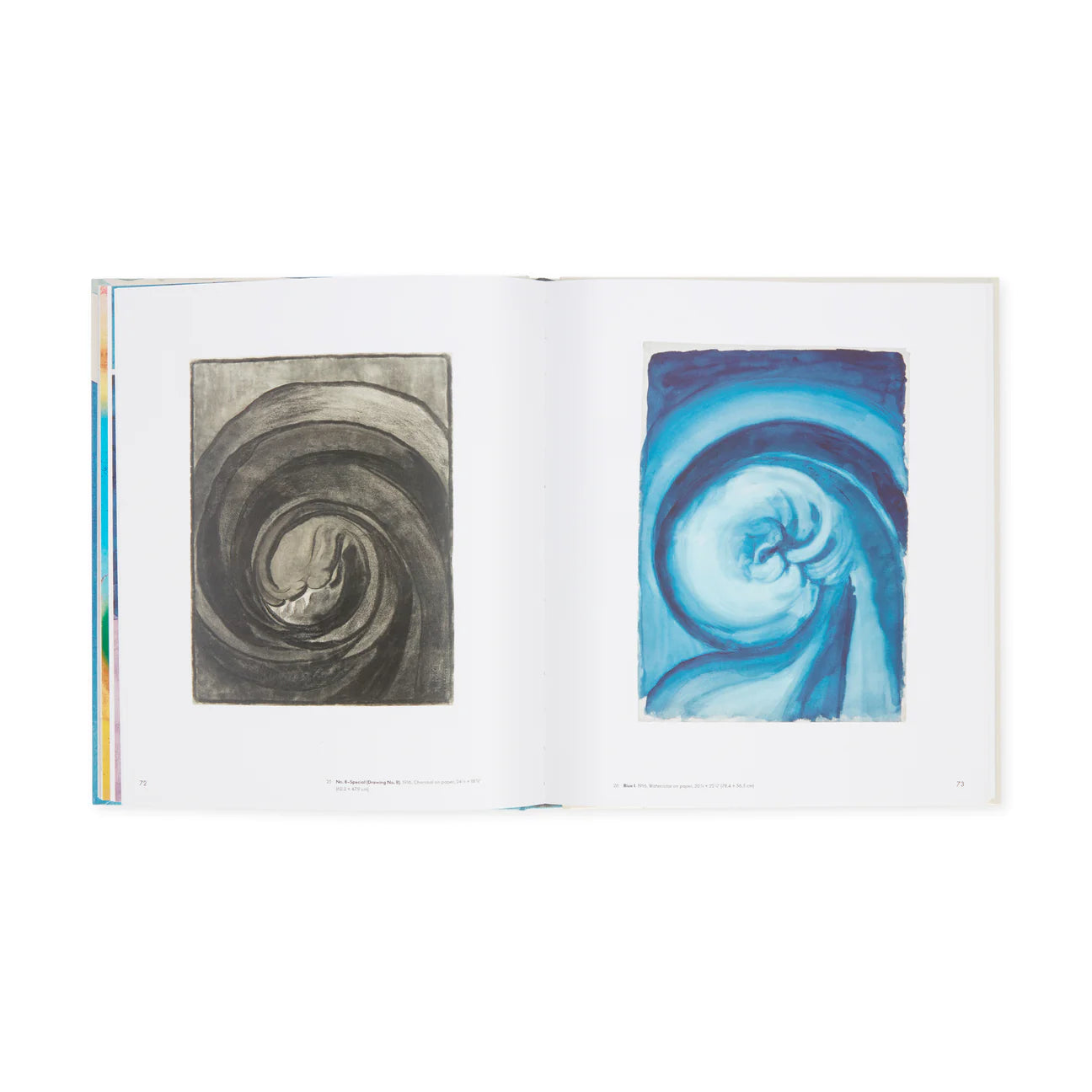 Georgia O’Keeffe. To See Takes Time