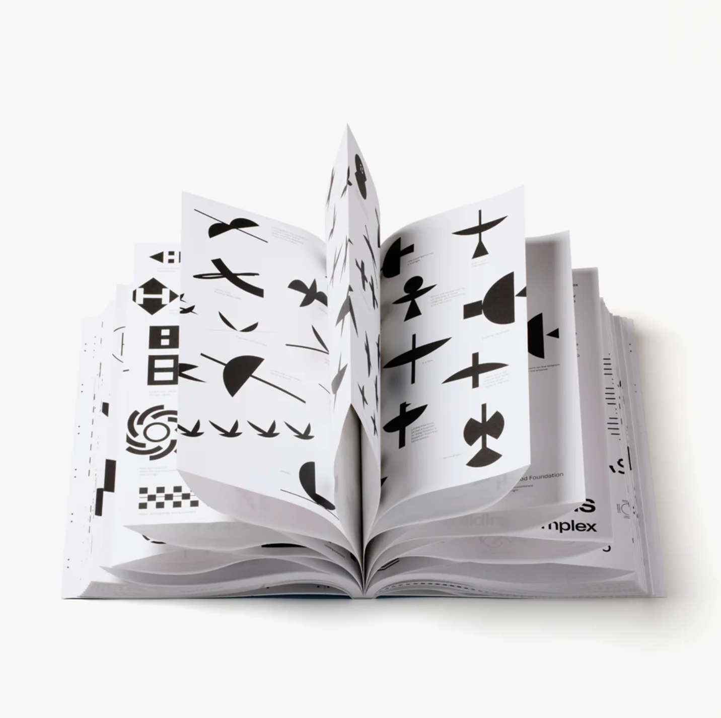 Process: Visual Journeys In Graphic Design
