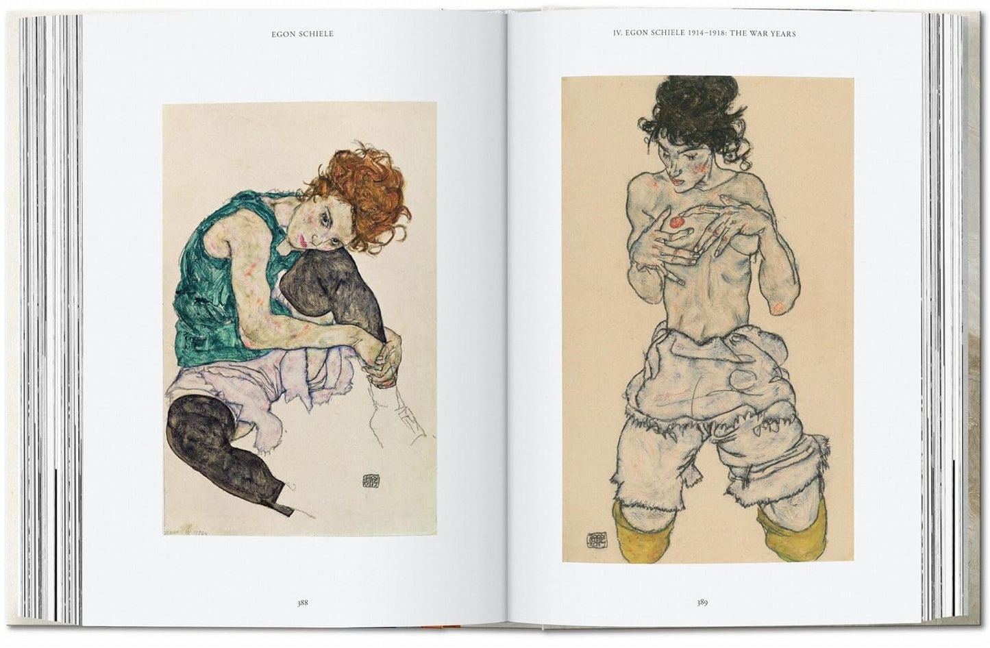 Egon Schiele. Las pinturas.