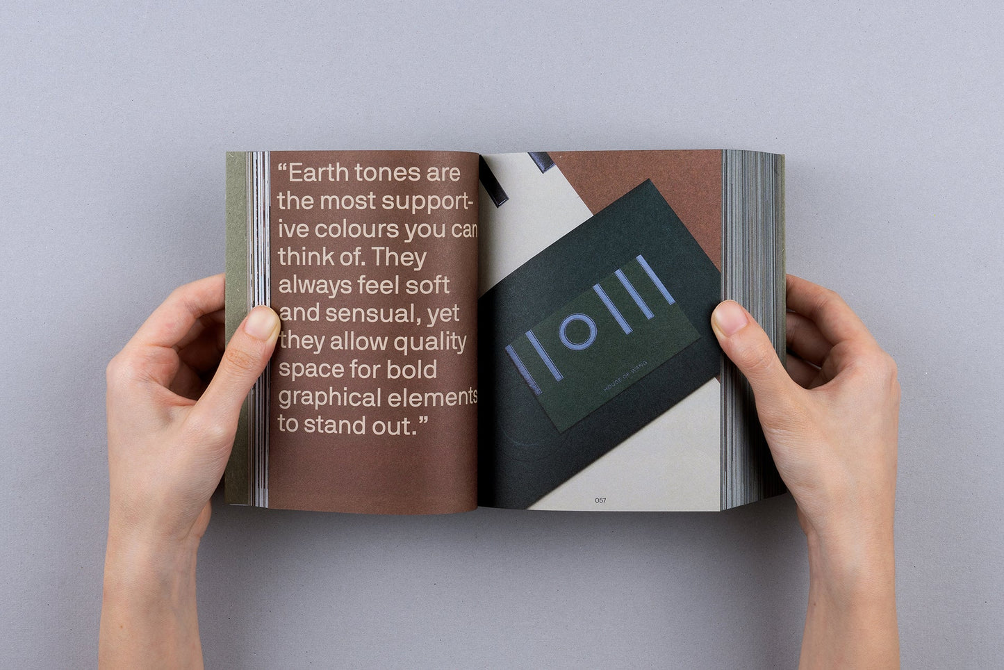Palette Mini 09. Nature: New Earth Tone Graphics