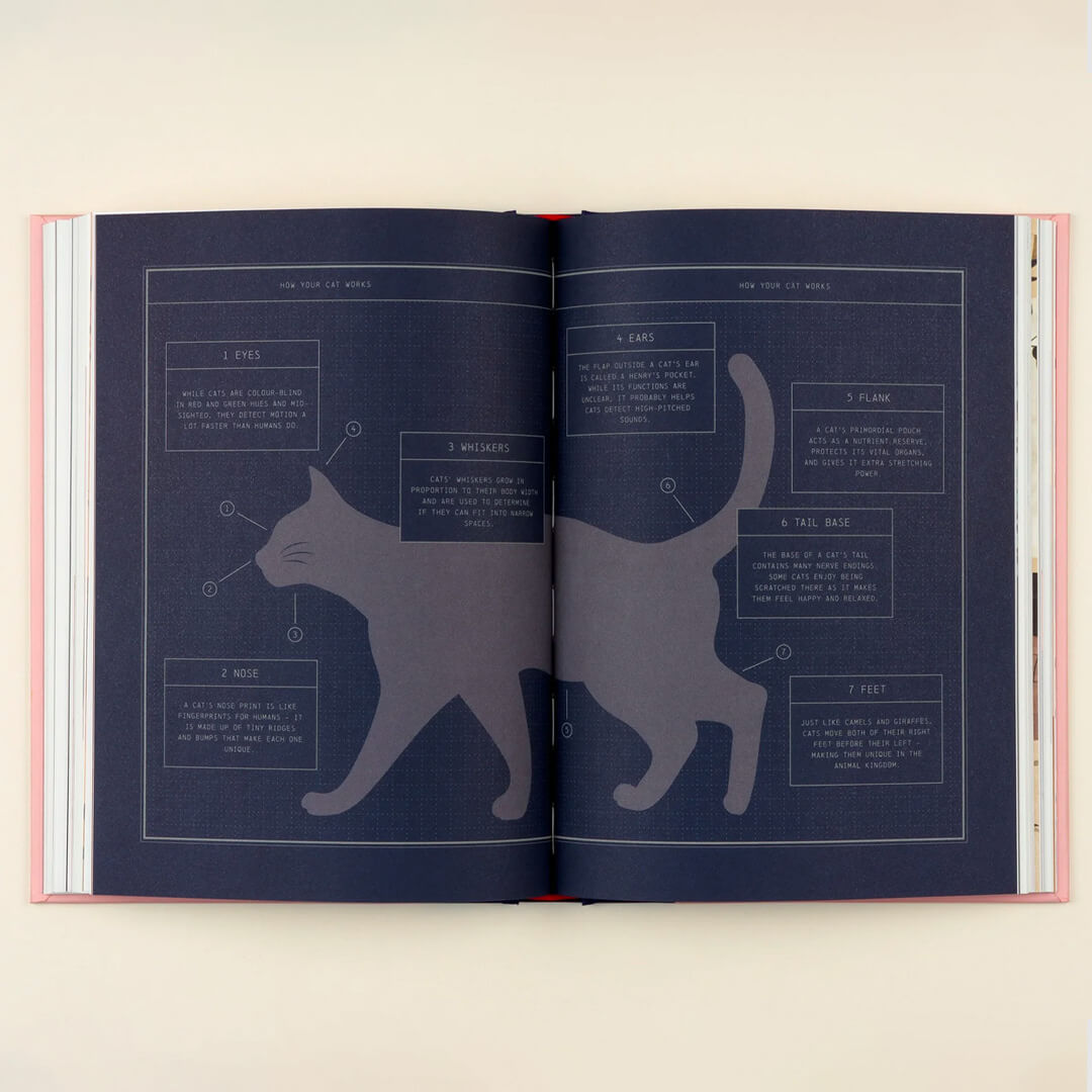 Felinity. An Anthology of Illustrated Cats from Around the World