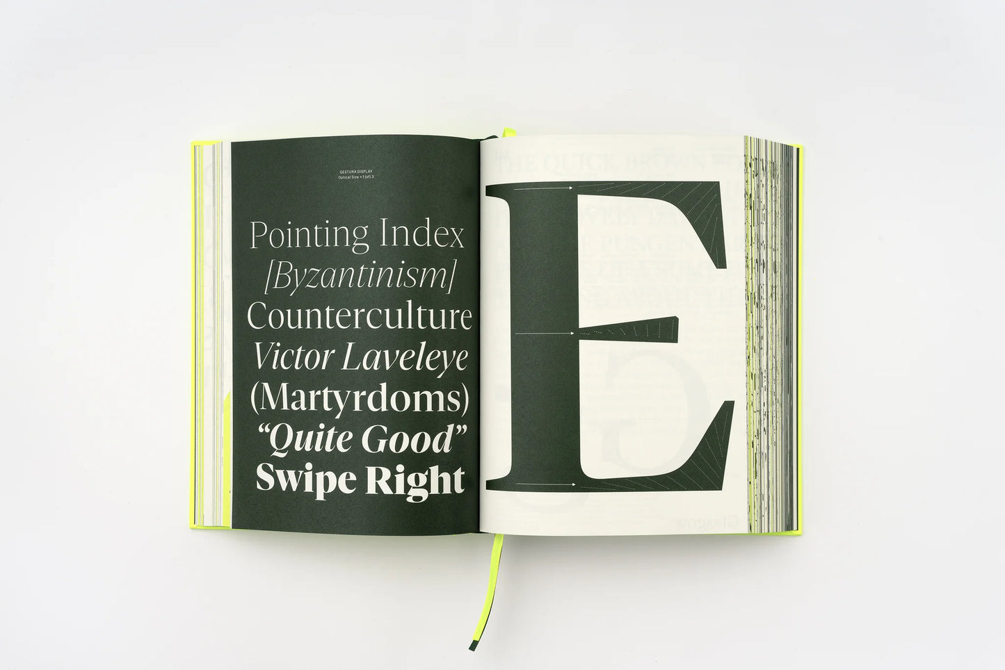 Serif in Use. Creative Typefaces and their Applications