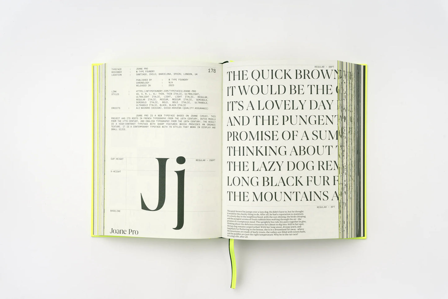Serif in Use. Creative Typefaces and their Applications