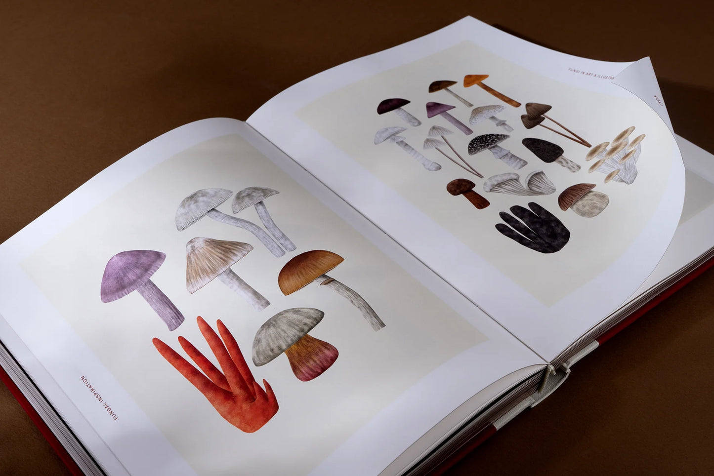 Fungal Inspiration: Art and Illustration Inspired by Wild Nature