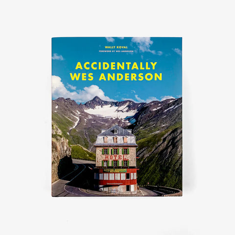 Accidentally Wes Anderson