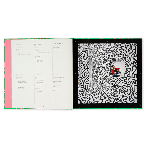 Interior de Keith Haring: Art Is for Everybody