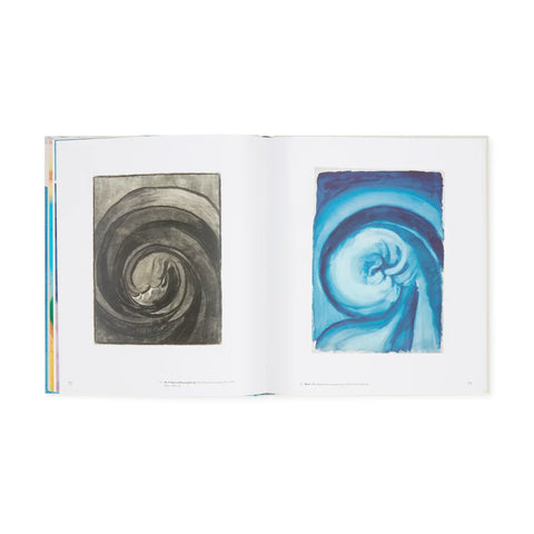 Georgia O’Keeffe. To See Takes Time