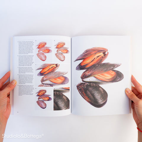 Super Realism! How to Draw Amazingly Lifelike Drawing with Coloured Pencils