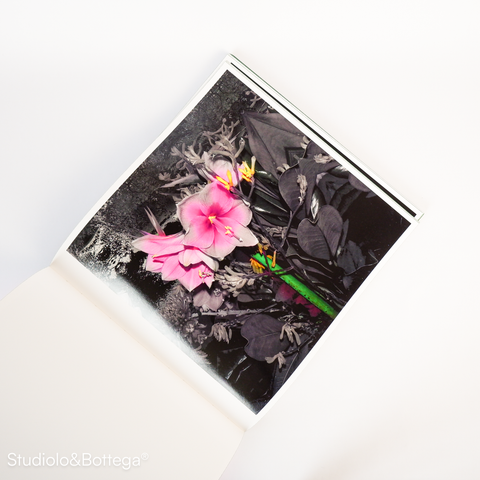 Lucas Samaras: Flowers
