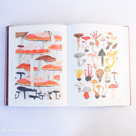 Fungal Inspiration: Art and Illustration Inspired by Wild Nature