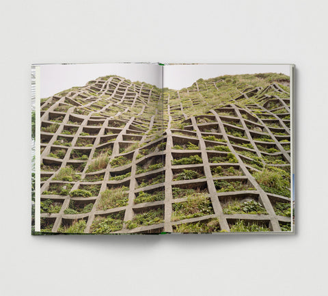 Interior de Brutalist Plants