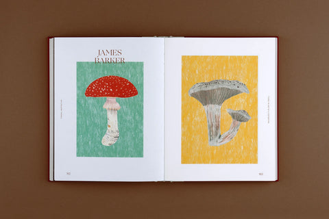 Fungal Inspiration: Art and Illustration Inspired by Wild Nature