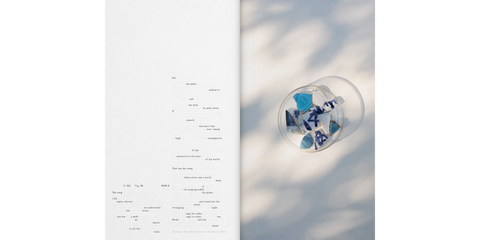 Interior de Frida Escobedo: Metamorphosis of Matter