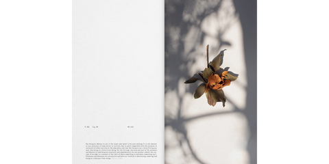 Interior de Frida Escobedo: Metamorphosis of Matter