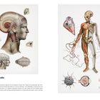 Interior de The Great Info